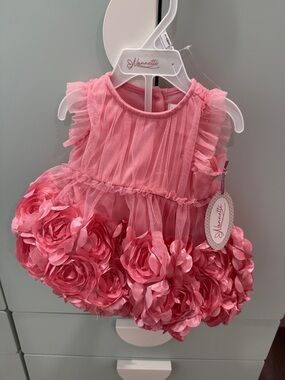 Nannette Pink Rosette Tulle Baby Dress
